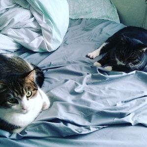 Meet your Posher, Madi